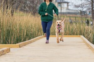 <strong>8 health benefits of running with your dog</strong>